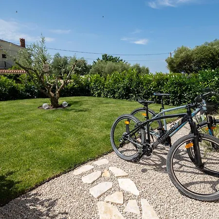 Διαμέρισμα Lotta With Garden *